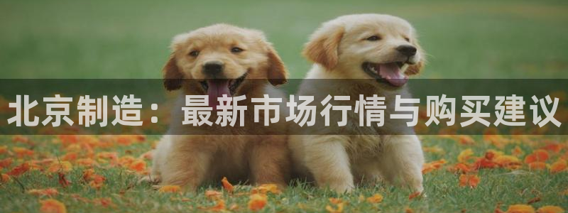 星欧娱乐注册开户：北京制造：最新市场行情与购买建议