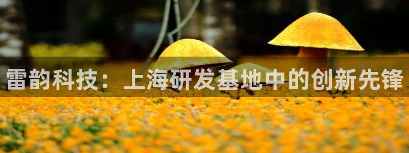 星欧娱乐游戏：雷韵科技：上海研发基地中的创新先锋