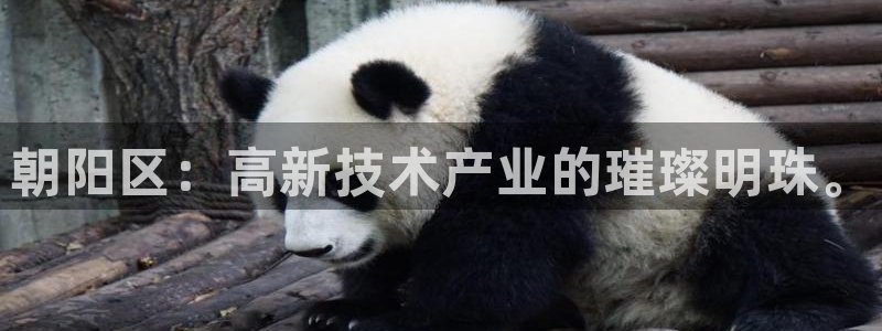 星欧娱乐平台是否安全：朝阳区：高新技术产业的璀璨明珠。