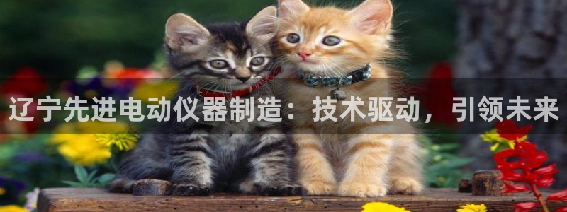 欧星科技娱乐公司：辽宁先进电动仪器制造：技术驱动，引领未来