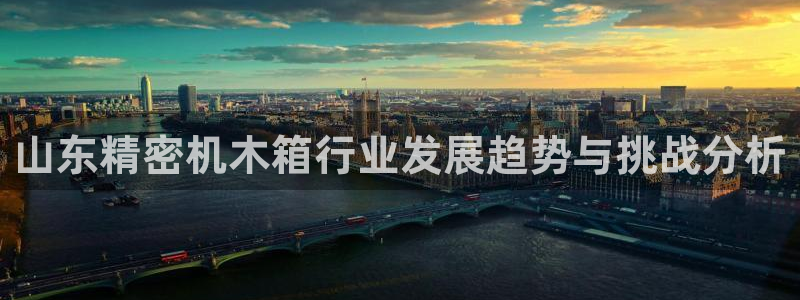 星欧娱乐官网客服电话：山东精密机木箱行业发展趋势与挑战分析