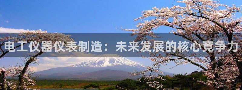 星欧娱乐雀V是什么平台：电工仪器仪表制造：未来发展的核心竞争