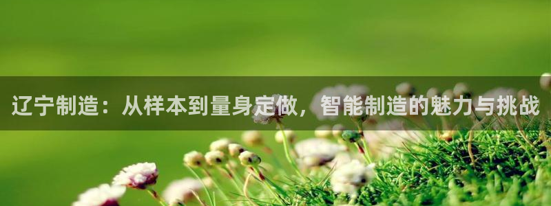 菲律宾亚星国际娱乐欧博：辽宁制造：从样本到量身定做，智能制造