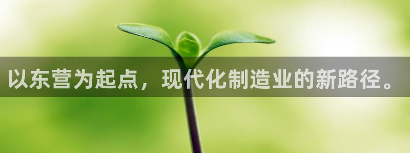 欧乐星城团购娱乐：以东营为起点，现代化制造业的新路径。