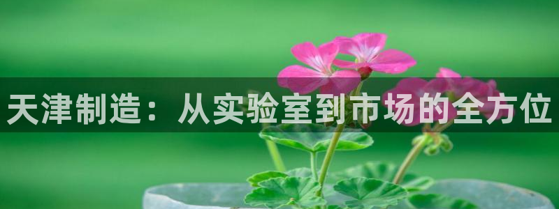 星欧娱乐公司：天津制造：从实验室到市场的全方位