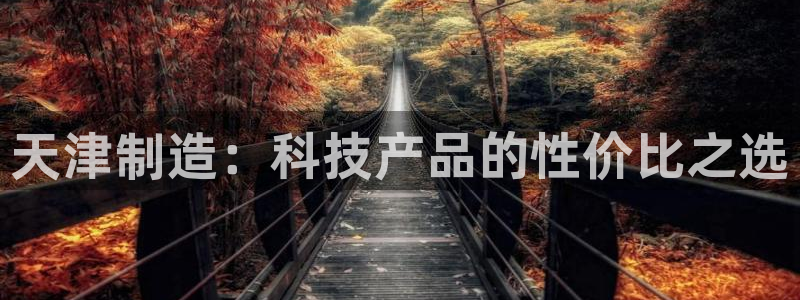 星欧娱乐官方客服电话：天津制造：科技产品的性价比之选