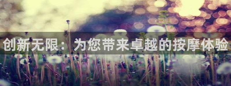 欧星娱乐网址接受：创新无限：为您带来卓越的按摩体验