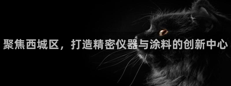 娱乐星扒客欧豪：聚焦西城区，打造精密仪器与涂料的创新中心