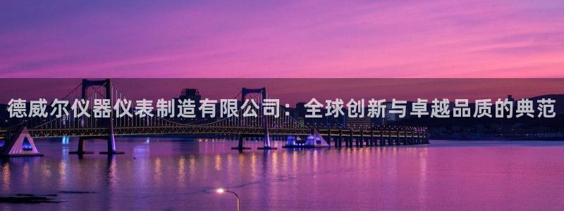 欧星娱乐网址接受：德威尔仪器仪表制造有限公司：全球创新与卓越