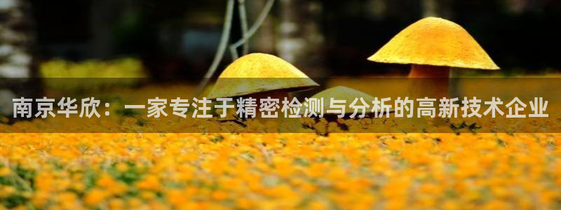 星欧娱乐代理：南京华欣：一家专注于精密检测与分析的高新技术企