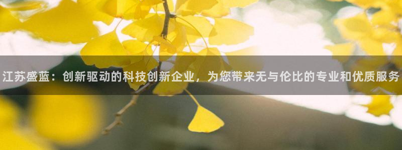 欧星娱乐最新地址：江苏盛蓝：创新驱动的科技创新企业，为您带来