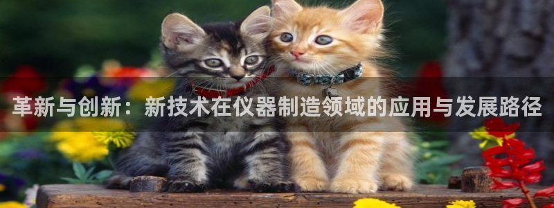 星欧娱乐招商：革新与创新：新技术在仪器制造领域的应用与发展路