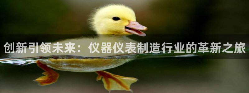 星欧娱乐招商81338：创新引领未来：仪器仪表制造行业的革新