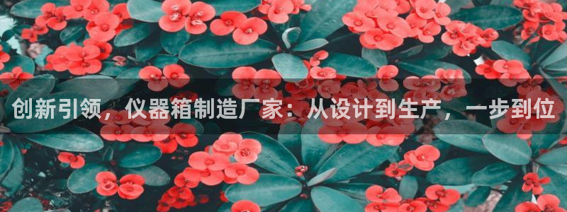 星欧娱乐平台下载：创新引领，仪器箱制造厂家：从设计到生产，一