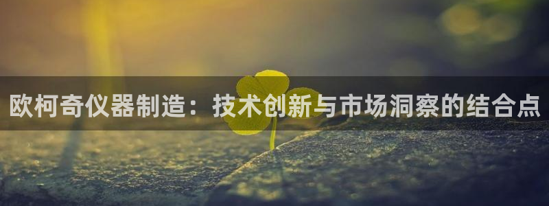 星欧娱乐用户登录中心：欧柯奇仪器制造：技术创新与市场洞察的结