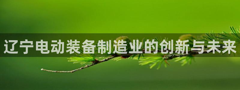 欧亿2娱乐诗星22650j：辽宁电动装备制造业的创新与未来