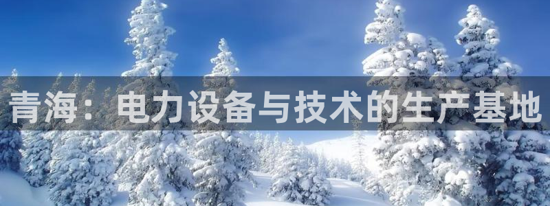 欧星娱乐pt：青海：电力设备与技术的生产基地