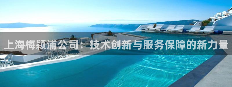 欧星娱乐安全吗：上海梅颖浦公司：技术创新与服务保障的新力量