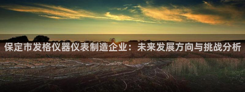 星欧娱乐平台官网入口：保定市发格仪器仪表制造企业：未来发展方