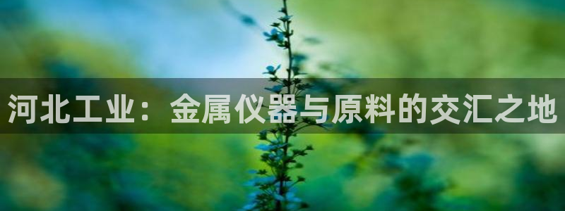 星欧娱乐注册：河北工业：金属仪器与原料的交汇之地
