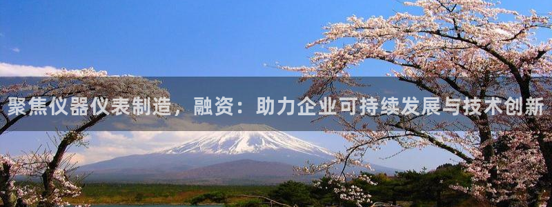 星欧娱乐注册：聚焦仪器仪表制造，融资：助力企业可持续发展与技