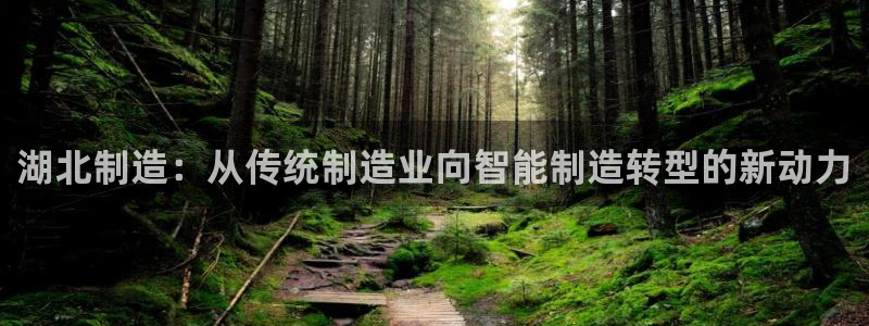星欧娱乐是诈骗吗：湖北制造：从传统制造业向智能制造转型的新动