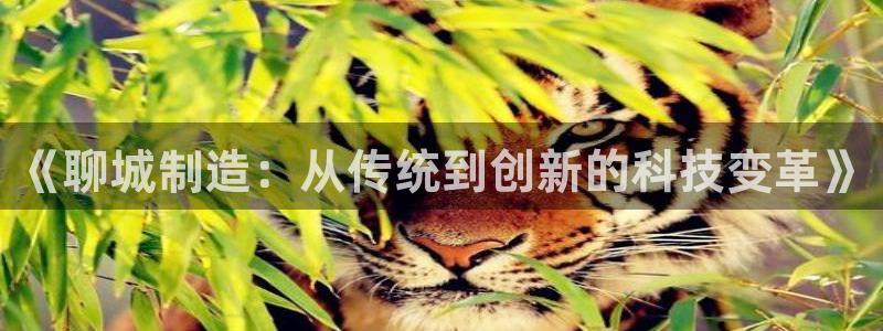 星欧娱乐娱乐是正规的吗：《聊城制造：从传统到创新的科技变革》