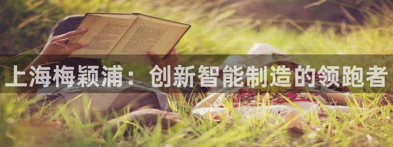 欧星娱乐棋牌：上海梅颖浦：创新智能制造的领跑者