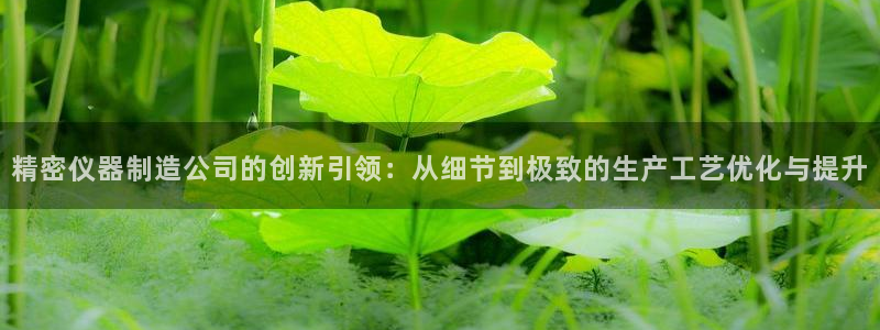 欧星娱乐网站：精密仪器制造公司的创新引领：从细节到极致的生产