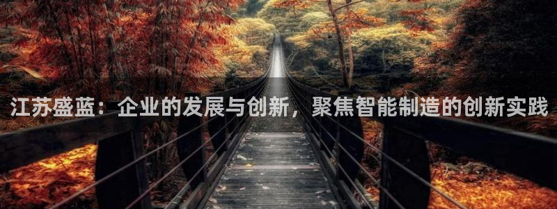 星欧娱乐官网在线登录入口：江苏盛蓝：企业的发展与创新，聚焦智