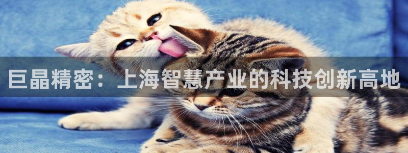 星欧娱乐最新消息今天：巨晶精密：上海智慧产业的科技创新高地