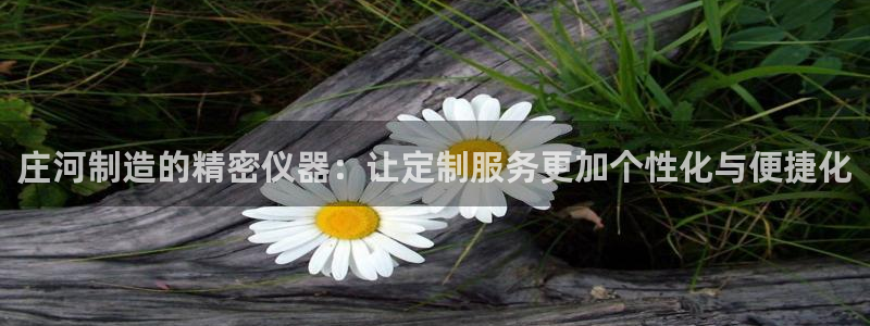 星欧娱乐606251：庄河制造的精密仪器：让定制服务更加个性