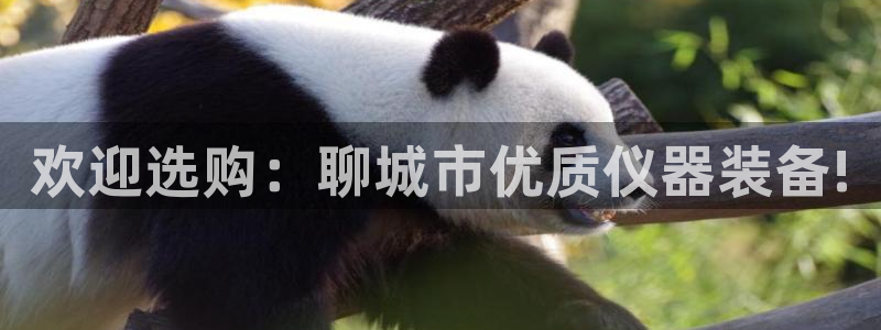 星欧娱乐官网在线登录：欢迎选购：聊城市优质仪器装备!